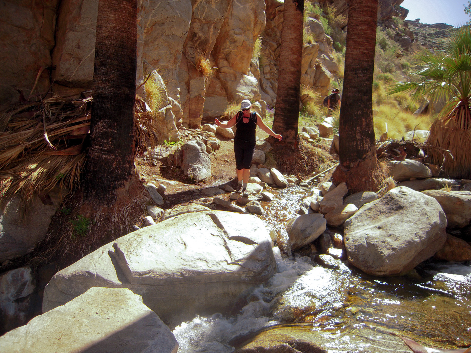 Murray Canyon03132010 (5)